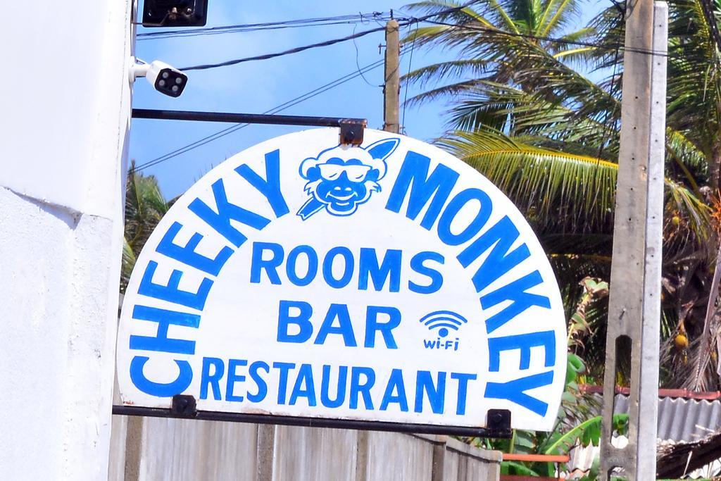 Cheeky Monkey Surf Camp Hotel Weligama Luaran gambar